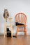 Three Adorable house cats sitting and resting on orange chair and wooden bar stool
