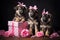 Three adorable puppies sitting beside a pink gift box, eagerly awaiting their surprise, Adorable puppies presenting