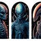 Three alien species