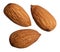 Three almonds isolated on white background