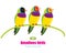 Three amadines tropical birds sitting on a branch