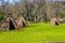 Three American Indian Tepees