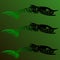 Three Angry fishes skeleton in black and green color with green background