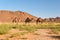 Three Arabian camel, Camelus dromedarius, Morocco