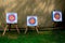 Three archery targets at the ethno festival