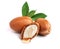 Three argan nuts with green leaves on an isolated white background. Chopped argan nut with a drop of oil. Whole and