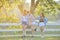 Three asian young ladys enjoy afternoon heat in garden .