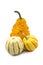 Three assorted ornamental gourds or pumpkins