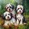 Three attractive cheerful lovely dogs, animals, pets