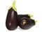 Three aubergine eggplants on white