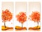 Three autumn abstract banners with colorful leaves