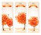 Three autumn abstract banners with colorful leaves and trees.