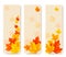 Three autumn banners with color leaves.