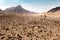 Three backpackers walking stone desert trail.