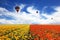 Three balloons flying over the field