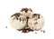 Three balls creamy chocolate ice cream with chocolate chips isolated on white