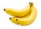 Three bananas isolated on white background with clipping Path