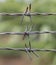 Three barbed wire on a blurred green