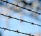 Three barbed wire lines and blurred background