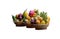 Three baskets filled with lots of tropical fruit, isolated