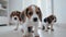Three beagle puppies sitting at home. Generate AI