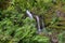 Three Bear Falls or Upper Waikani Falls on the Road to Hana