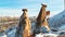 Three beauties named fairy chimneys in Cappadocia.