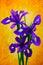 Three beautiful purple iris flowers against abstract background