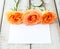 Three beautiful roses with card for your text.