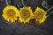 Three beautiful sunflowers decoration on wooden background arrangement. Copy space for board text or design.