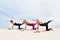 Three beautiful young women perform yoga exercises