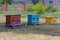 Three bee hives in an apiary in a green summer garden