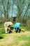 Three beekeepers work on an apiary at hive. Sunny day.