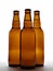 Three beer bottles