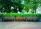 Three benches in city park background