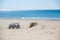 Three bicycles are on the beach on sea background