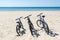 Three bicycles are on the beach on sea background