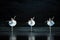 Three big Swan-The Swan Lakeside-ballet Swan Lake