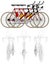 Three Bikes In The Line Race Vector 05