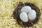 Three bird eggs lie in the nest