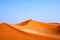 Three birds flying over sandy orange dunes in the blue clear sky in Namib desert