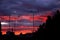 Three birds sitting on the antenna with the colorful sunset behind