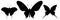 Three black butterflies icon, isolated on white