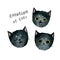Three black cats, emotions