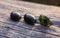 Three black jade translucent gemstones on wood