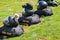 Three Black paratrooper helmets on black parachute knapsacks that say West Point