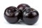 Three black plums, on white background