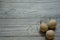 Three blackbird eggs in a wooden bowl on a light surface of a rustic table