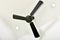 Three bladed black ceiling fan