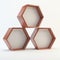 Three blank hexagon wood box